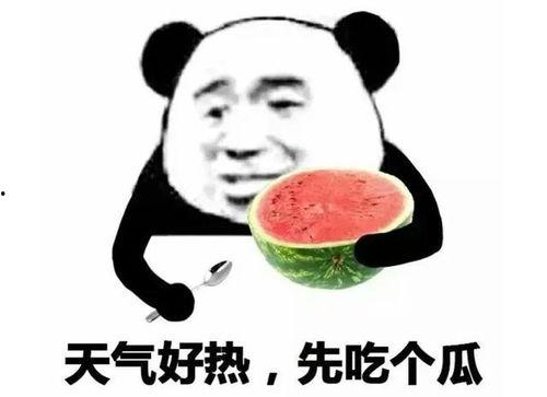 吃瓜表情包含义,揭秘网络社交中的趣味与讽刺
